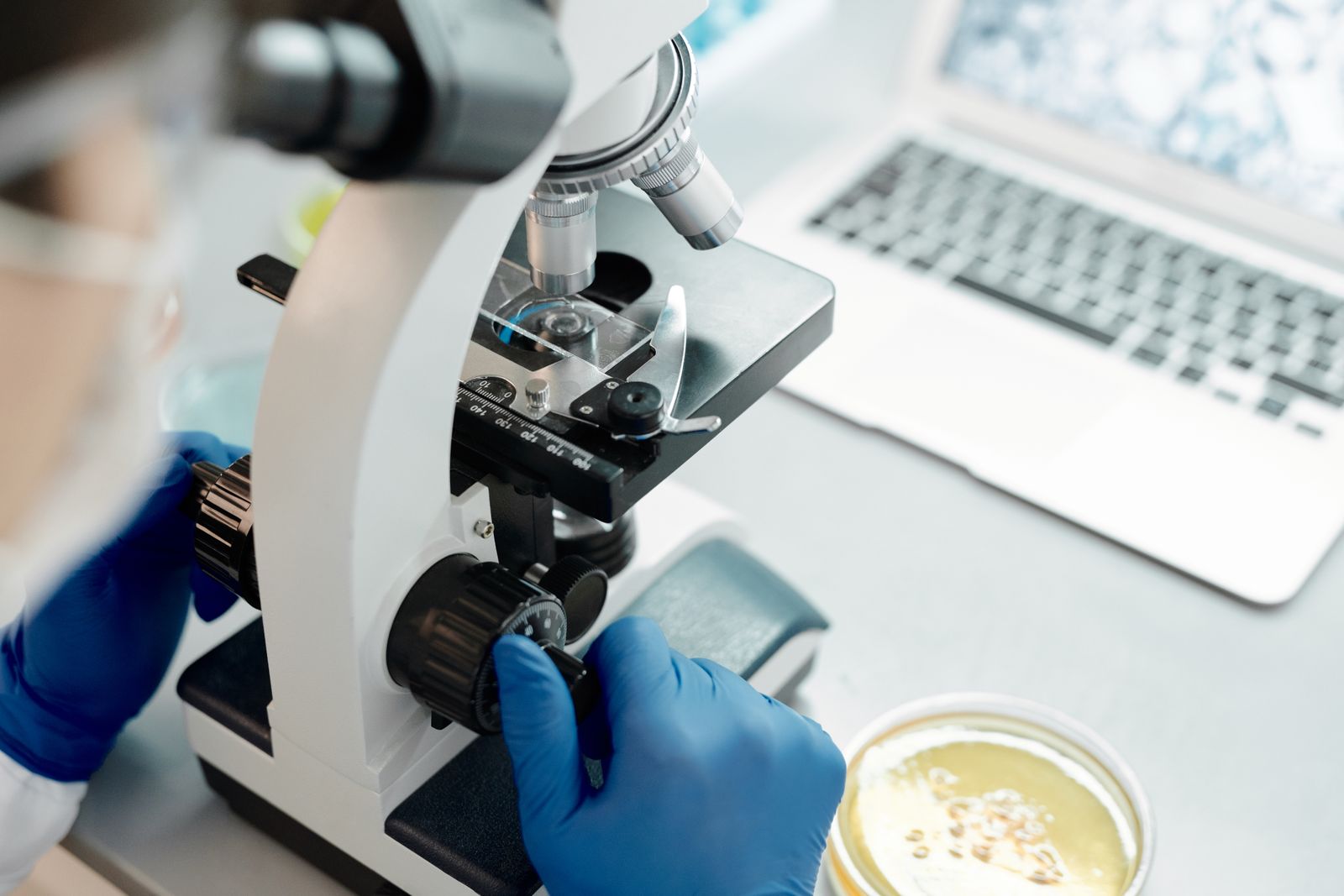 Mains gantées et microscope sur une paillasse de laboratoire